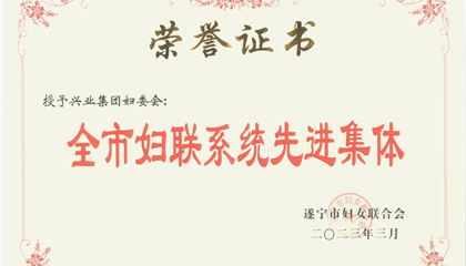 喜報(bào)！興業(yè)集團(tuán)婦委會(huì)榮獲“全市婦聯(lián)系統(tǒng)先進(jìn)集體”榮譽(yù)稱號(hào)