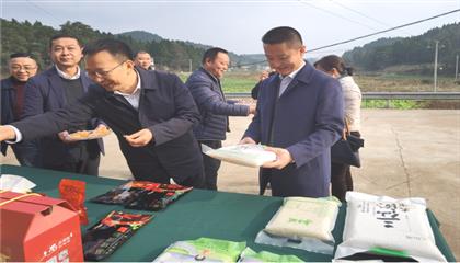 市委常委、政法委書記劉波濤帶隊調(diào)研指導(dǎo)定點(diǎn)幫扶村鄉(xiāng)村振興工作